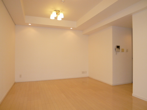 Living and room. Living