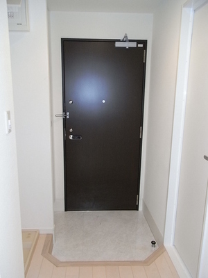 Entrance. Entrance hall