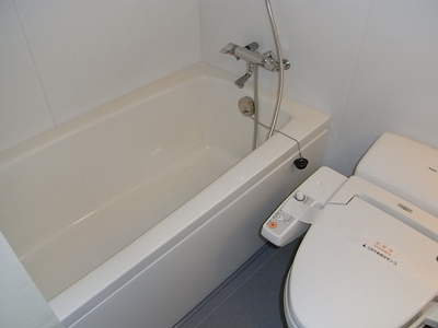 Bath. Unit bus of hotel-like spread