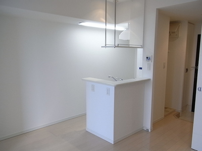 Other. Cute mini-counter kitchen