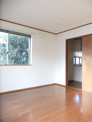 Living and room. Bright room