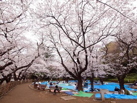 park. Until Tetsugakudo park 872m