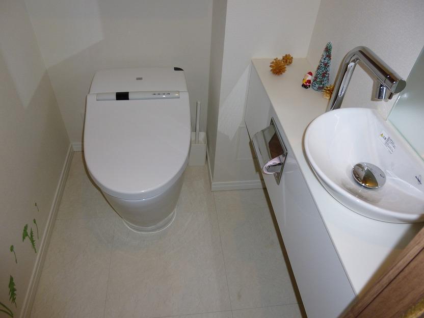 Toilet. Indoor (12 May 2013) Shooting
