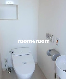 Toilet. Tankless toilet