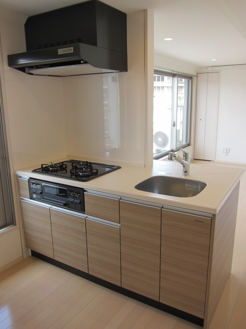 Kitchen. Peninsula kitchen