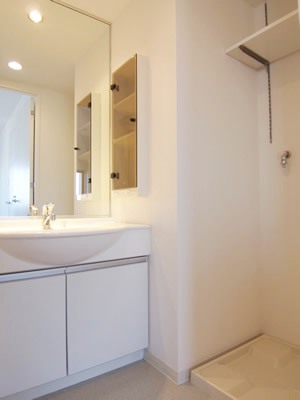 Washroom. Separate vanity with Medicine box