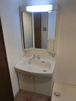 Washroom. Shampoo dresser