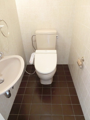 Toilet. Spacious toilet
