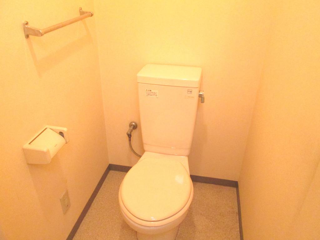 Toilet. Clean toilet