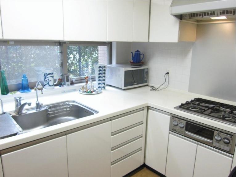 Kitchen. Indoor (11 May 2013) Shooting