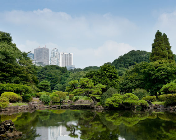 Surrounding environment. Shinjuku Gyoen (about 440m / 6-minute walk)