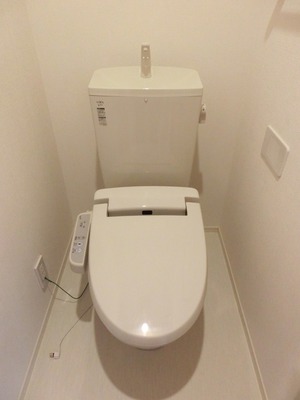 Toilet. Cleaning function toilet