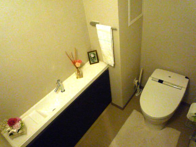 Toilet. Indoor (September 2013) Shooting