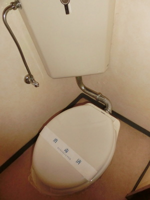 Toilet. Western-style toilet