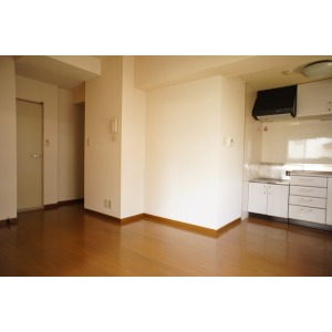 Living and room. The room is a picture of the same type.