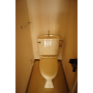 Toilet. The room is a picture of the same type.