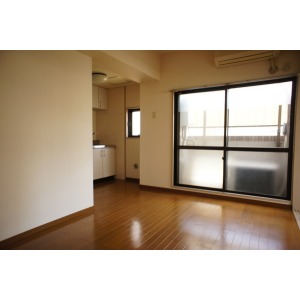 Living and room. The room is a picture of the same type.