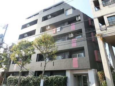 Building appearance. Clean appearance