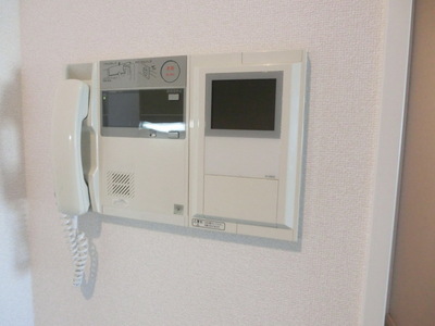 Security. Interphone with a monitor