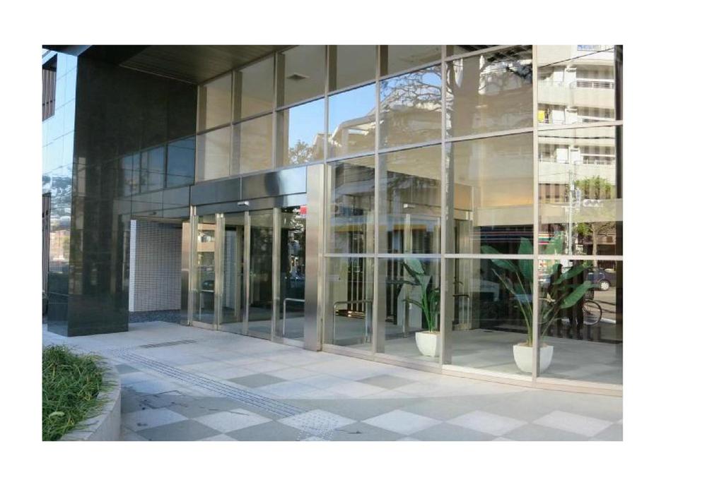 Entrance. Common areas