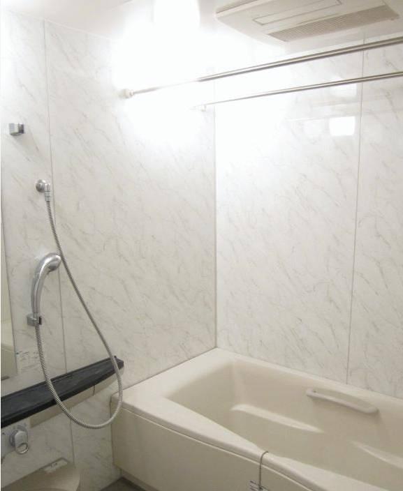 Bathroom. Indoor (11 May 2013) Shooting