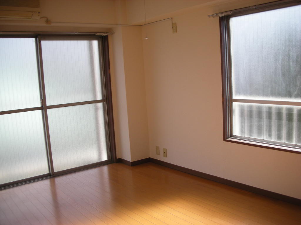 Living and room. Two-sided lighting bright rooms