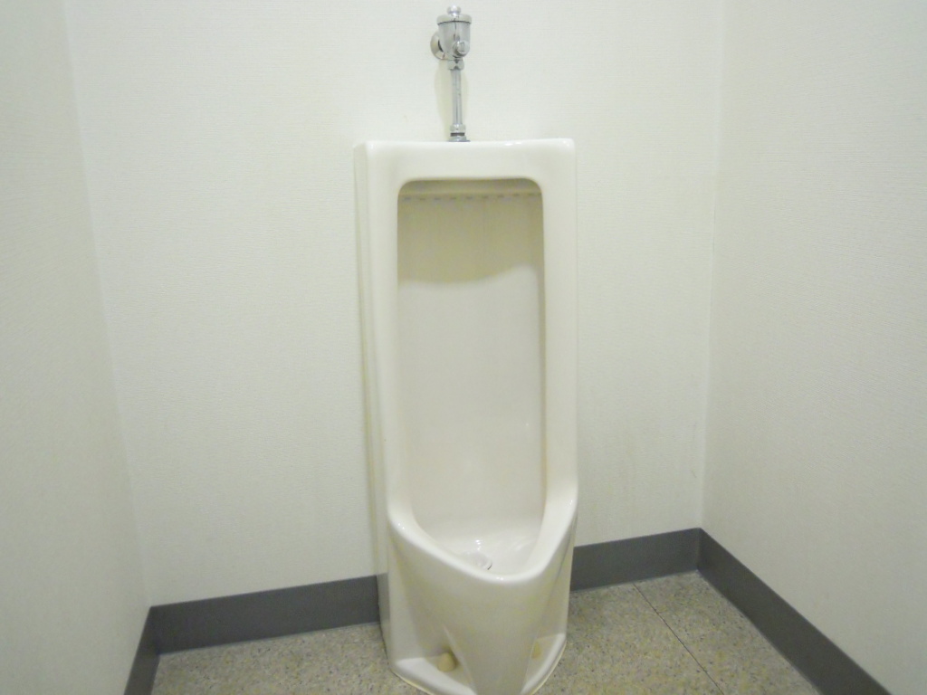 Toilet. Gender toilet