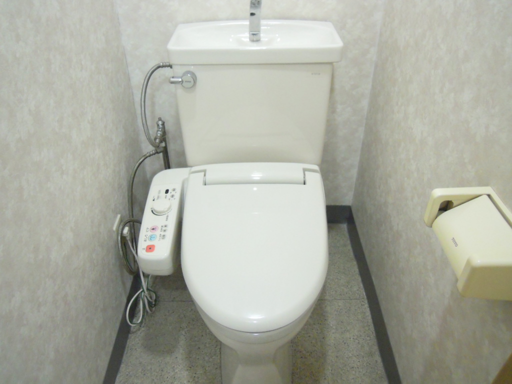 Toilet. With warm water washing toilet seat