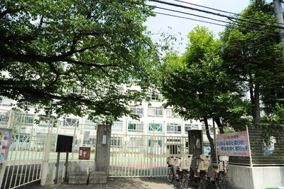 Primary school. 560m to earth elementary school (elementary school) in municipal Love