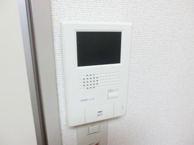 Security. Monitor phone