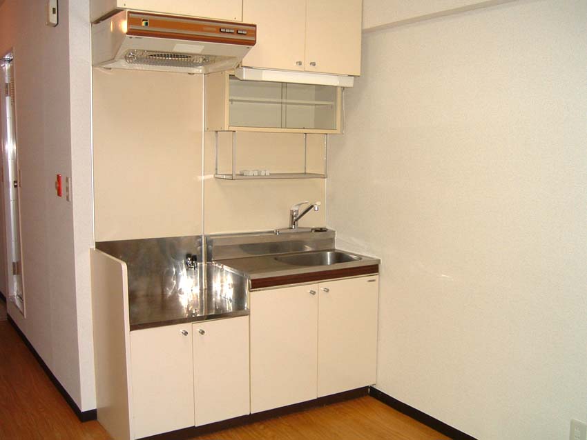 Kitchen. Furniture for the model room, Furniture is not included in the rent common expenses