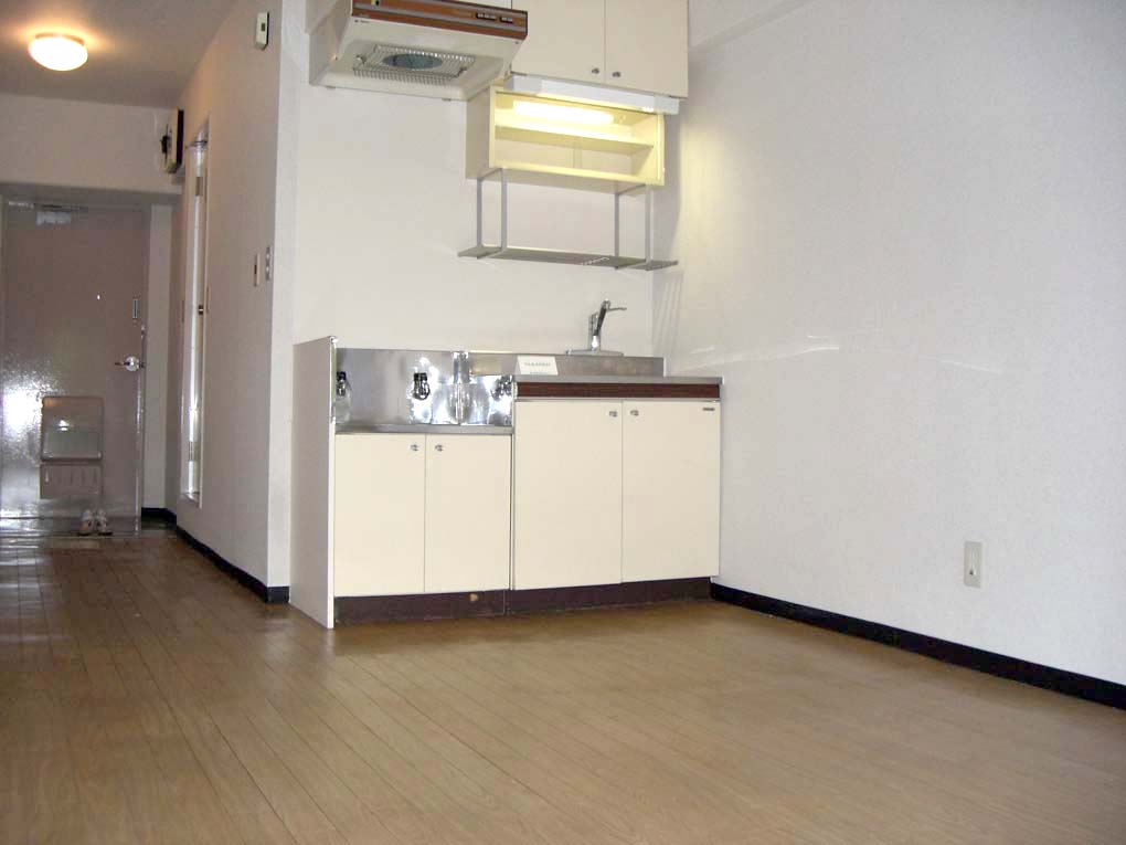 Living and room. Furniture for the model room, Furniture is not included in the rent common expenses