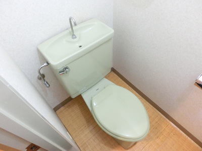 Toilet. Western-style toilet