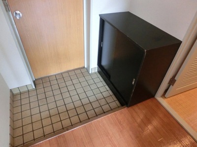 Entrance. Entrance with a shoe box