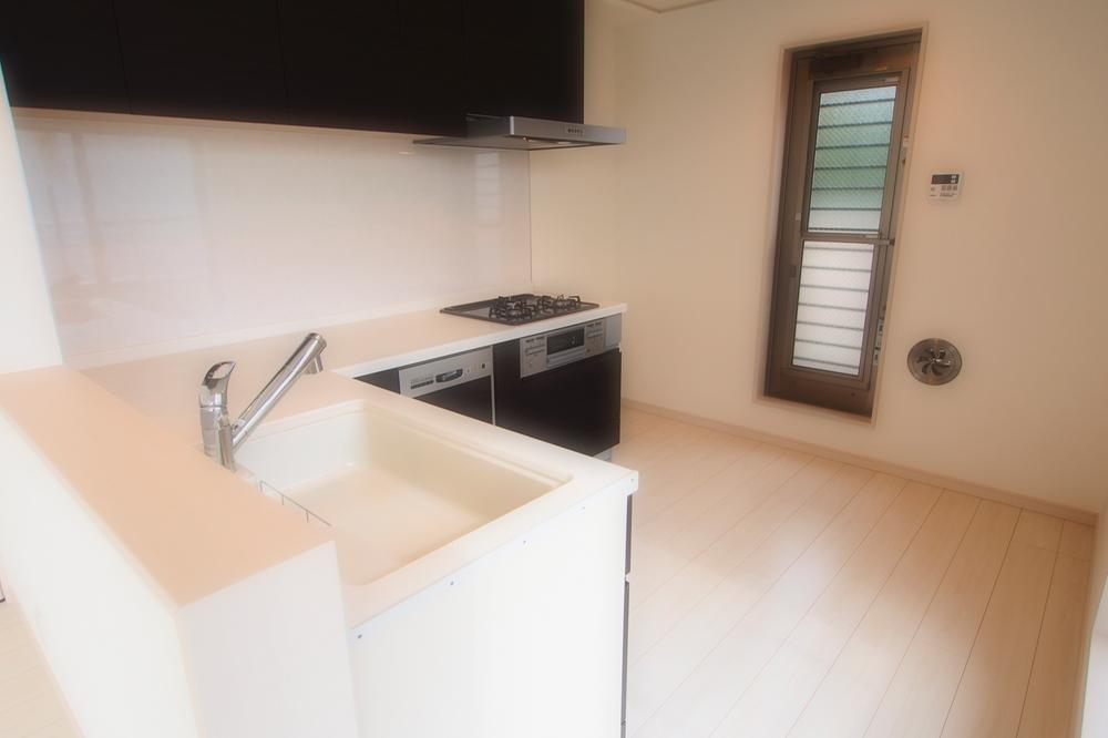 Kitchen. Indoor (11 May 2013) Shooting