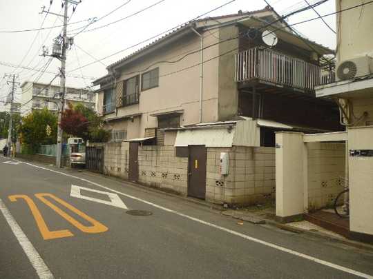 Local land photo. Appearance (1)