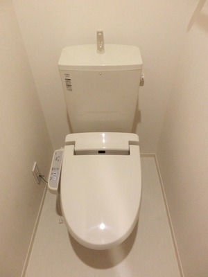 Toilet. Cleaning function toilet