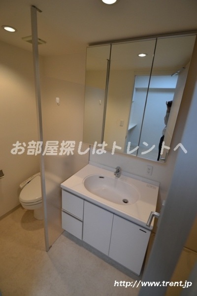 Washroom. Reference photograph