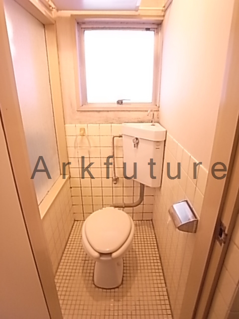 Toilet. There is a window in the toilet! 