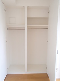 Other. Easy-to-use closet there is a depth