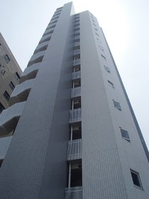 Building appearance. 15-story SRC structure of the apartment