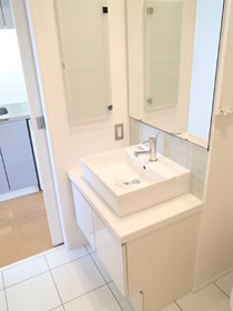 Washroom. (Reference photograph) stylish independent wash basin