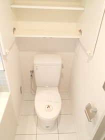 Toilet. (Reference photograph) storage rack toilet