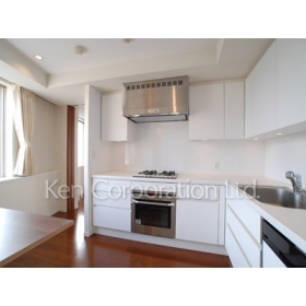 Kitchen. Shoot the same type the fifth floor of the room. Specifications may be different.