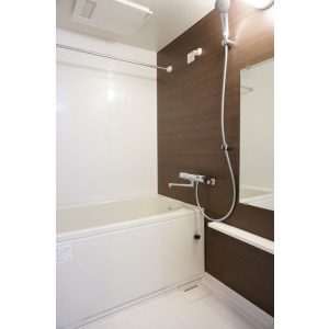 Bath. The room is a picture of the same type.