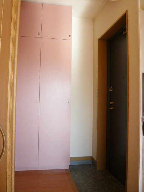 Entrance. Large storage shoes BOX