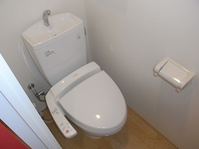 Toilet. Shower toilet