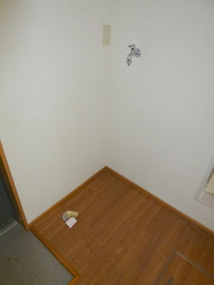 Other.  ☆ Washing machine in the room