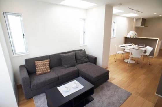 Living. Indoor (September 2013) Shooting