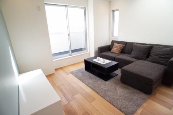 Living. Indoor (September 2013) Shooting